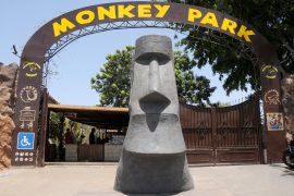 Entree Monkey Park