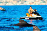 Dolfijnen en jetski
